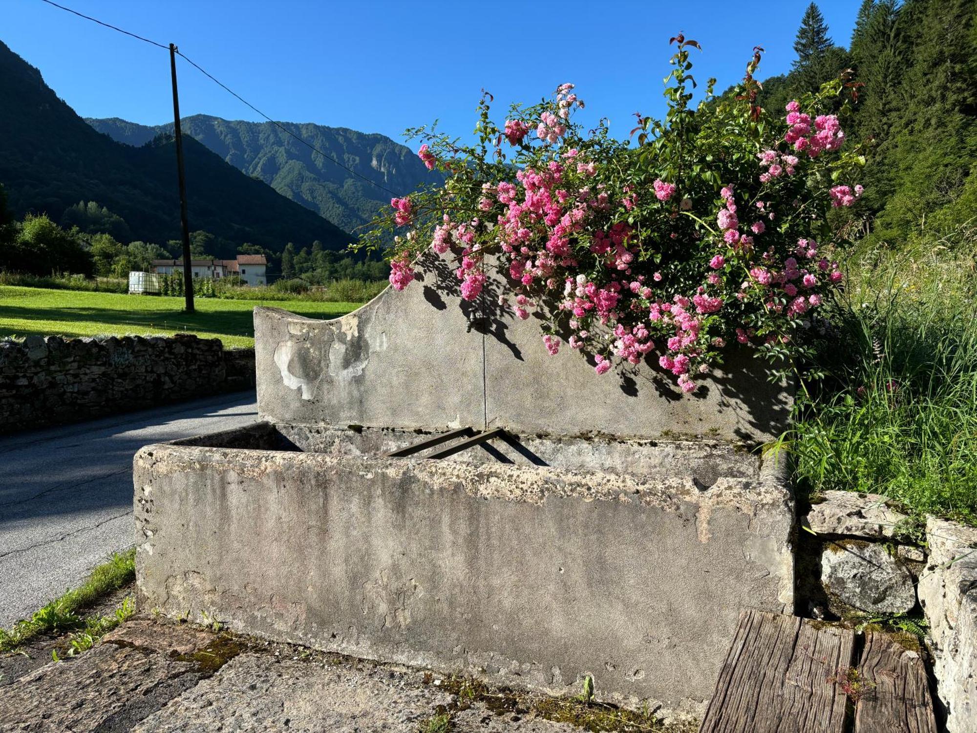 Bauernhof Quinta Essenza